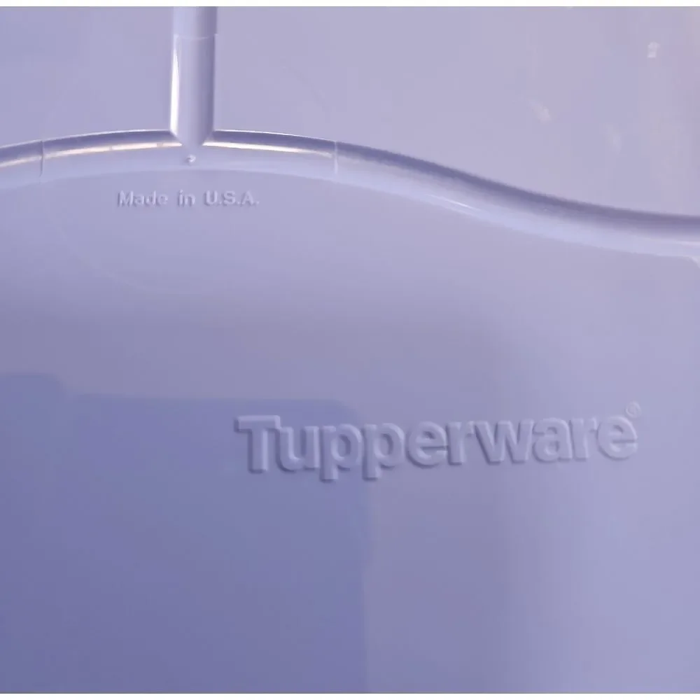 Tupperware Crystal Wave Divided Plate Dish w Lid